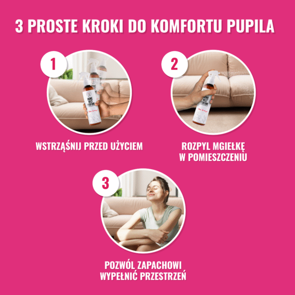 Home Mist Perfume Sea Breeze