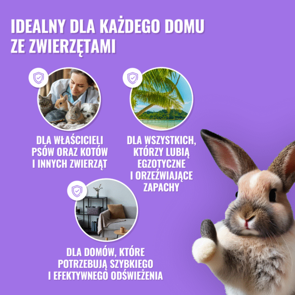 PET Home Mist Perfume - Mgiełka Cytrusowa Do Wnętrz