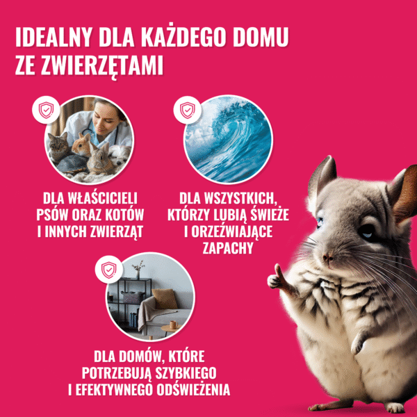 Home Mist Perfume Sea Breeze