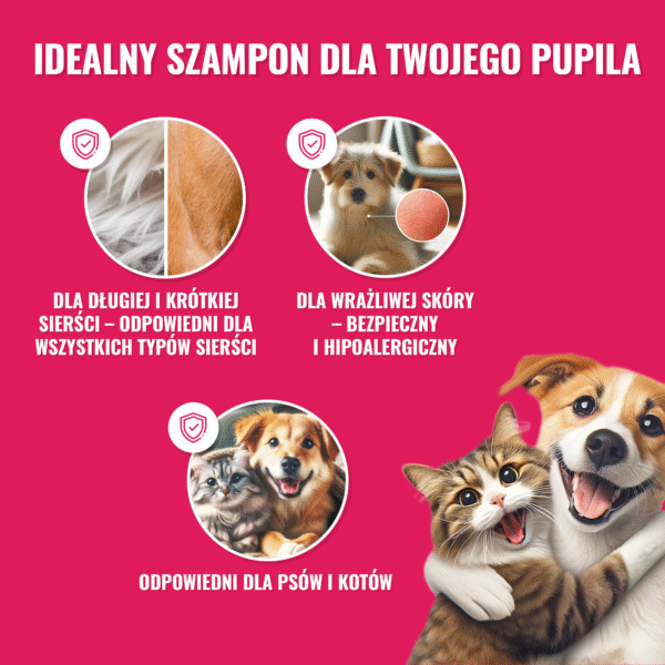 Zestaw “Lśniący Wąsik” - Pakiet Prezentowy dla Właścicieli Kotów