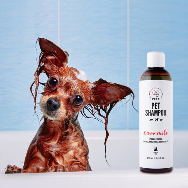 PET Shampoo Camomile /Camomile Shampoo