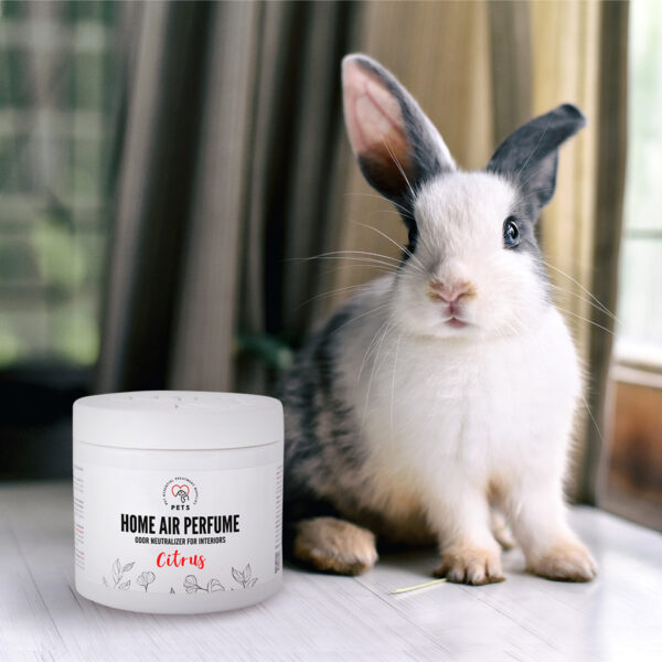 Home Air Perfume Citrus/Odor Neutralizer for Interiors with a Citrus Scent