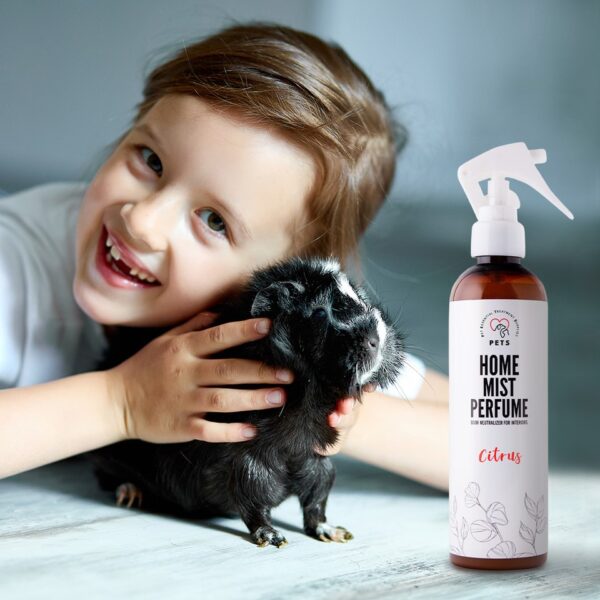 PET Home Mist Perfume - Mgiełka Cytrusowa Do Wnętrz