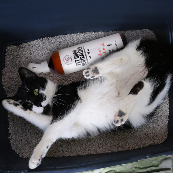 PET ODOR NEUTRALIZER/ Stain Remover and Urine Odor Neutralizer