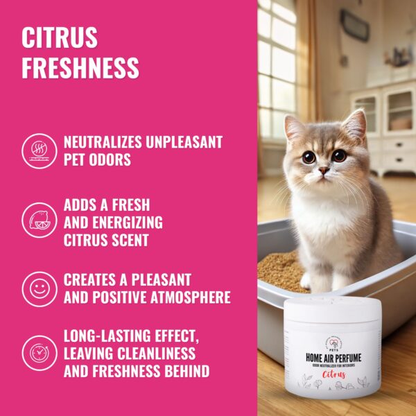 Home Air Perfume Citrus/Odor Neutralizer for Interiors with a Citrus Scent