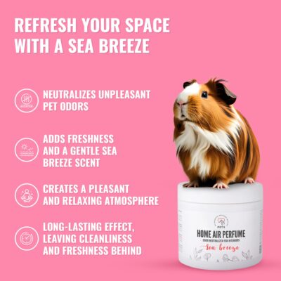 Home Air Perfume Sea Breeze/ Interior Odor Neutralizer with a Sea Breeze Scent