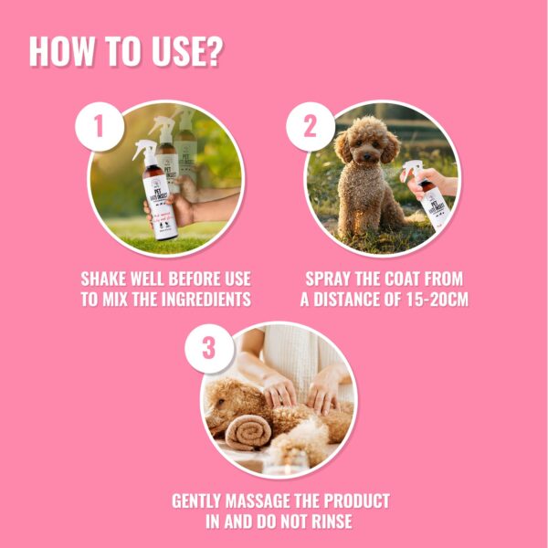 PET ANTI INSECT – effective protection against ticks, fleas, and other insects