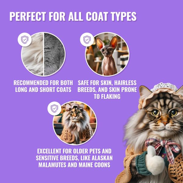 PET Shampoo Vitamin / Vitamin Shampoo