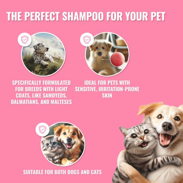 PET Shampoo Camomile /Camomile Shampoo