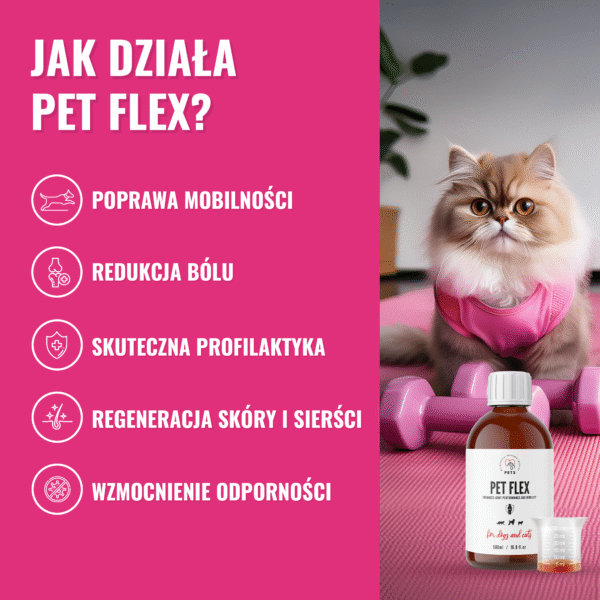 PET FLEX – Joint and Mobility Supplement for Pets