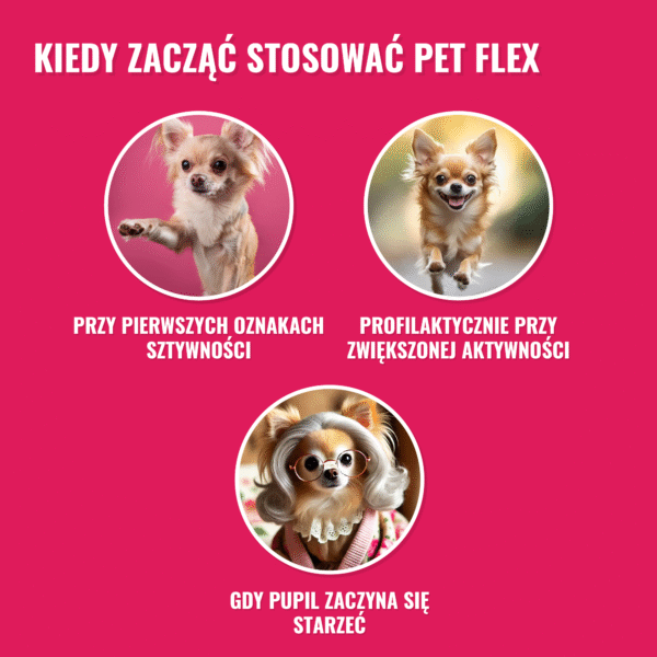 PET FLEX – Joint and Mobility Supplement for Pets