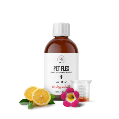 PET FLEX – Joint and Mobility Supplement for Pets