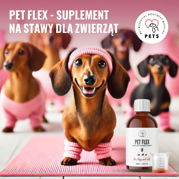 PET FLEX – Joint and Mobility Supplement for Pets