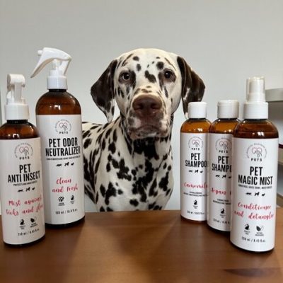 @chester__the_dalmatian